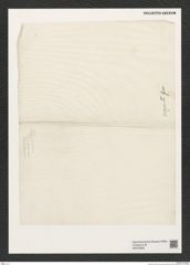 Diatomeae indet. Zeichnungen Sammlung Grunow (NHMW-BOT-W0376692)
